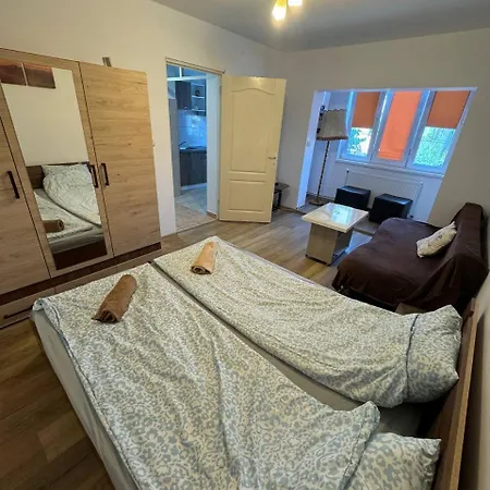 Affordable Apartment Close To The Castle Hunedoara Extérieur photo