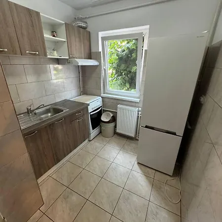 Affordable Apartment Close To The Castle Hunedoara Extérieur photo